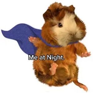 Meet your Posher, Diego